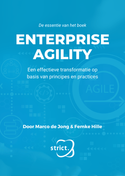 De-essentie-van-het-boek-Enterprise-Agility-1