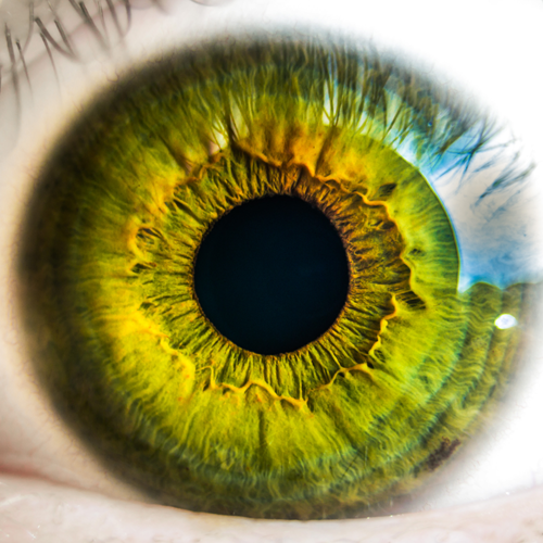 eye-web-1