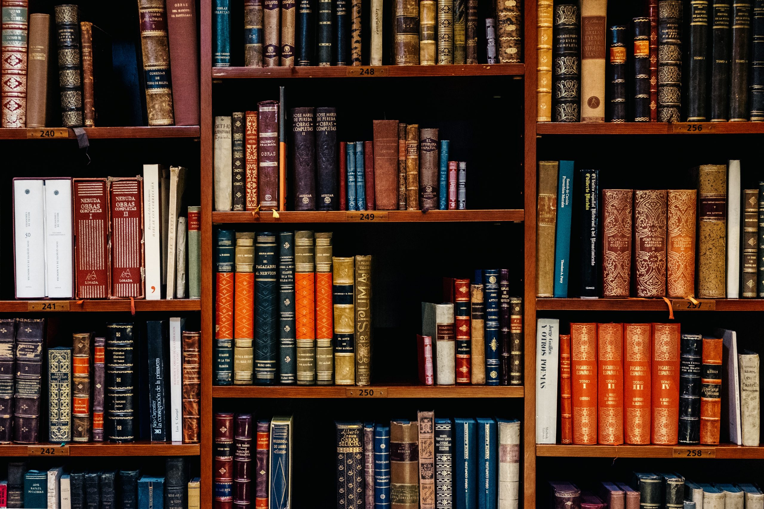 inaki-del-olmo-NIJuEQw0RKg-unsplash-1-scaled-1