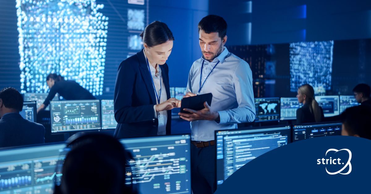 Infographic huidige staat nederlandse organisaties