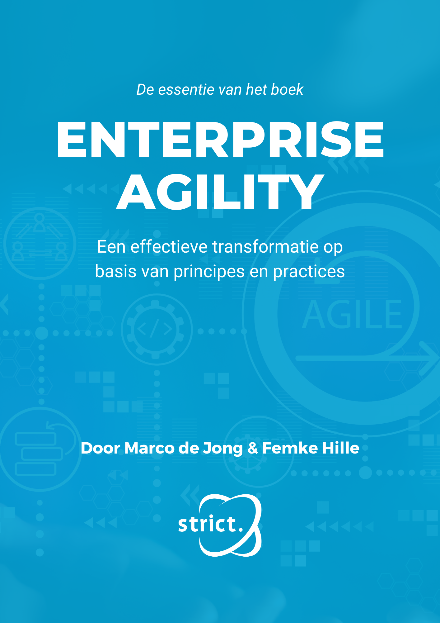 De-essentie-van-het-boek-Enterprise-Agility